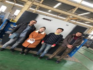 Egipat Kupci Kupi Press Brake Machine iz tvrtke Accurl